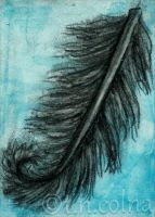 Feather Touch